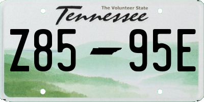 TN license plate Z8595E