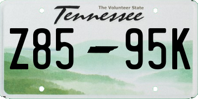TN license plate Z8595K