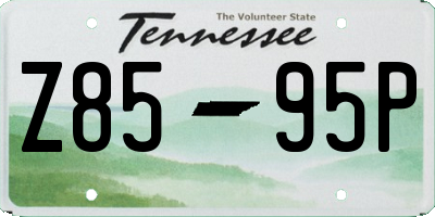 TN license plate Z8595P