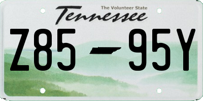 TN license plate Z8595Y