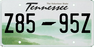 TN license plate Z8595Z