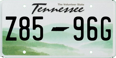 TN license plate Z8596G