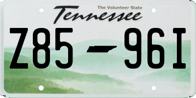 TN license plate Z8596I
