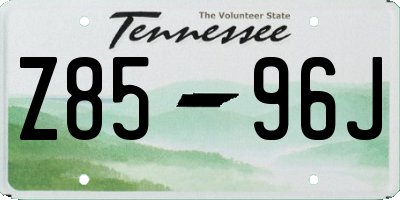TN license plate Z8596J