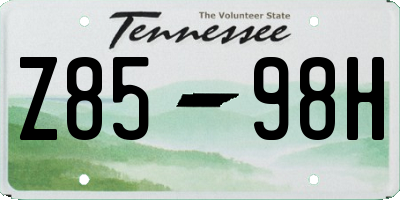 TN license plate Z8598H