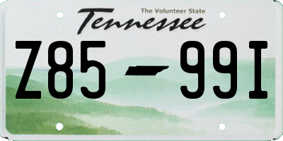 TN license plate Z8599I