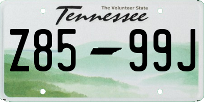 TN license plate Z8599J