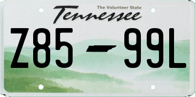 TN license plate Z8599L