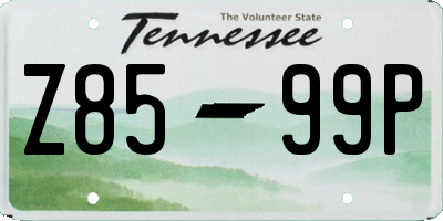 TN license plate Z8599P