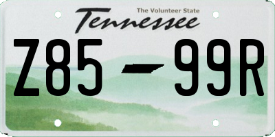 TN license plate Z8599R