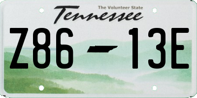 TN license plate Z8613E