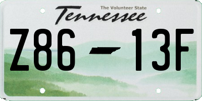 TN license plate Z8613F