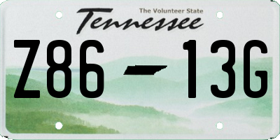 TN license plate Z8613G