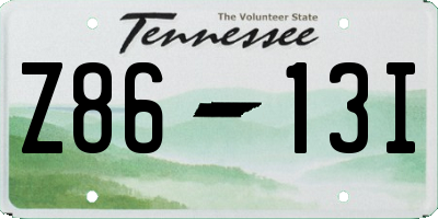 TN license plate Z8613I