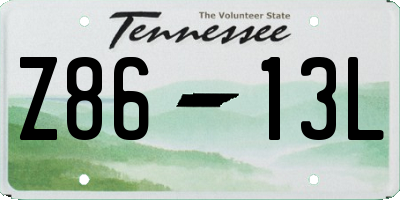 TN license plate Z8613L
