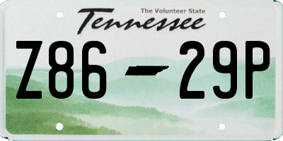 TN license plate Z8629P