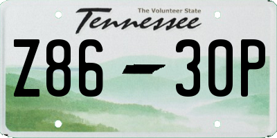 TN license plate Z8630P