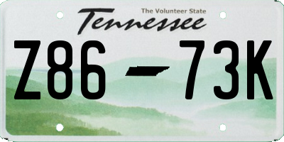 TN license plate Z8673K