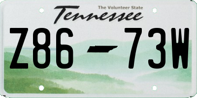TN license plate Z8673W
