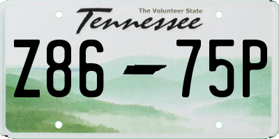 TN license plate Z8675P