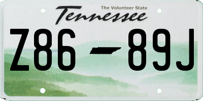 TN license plate Z8689J