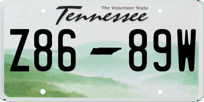 TN license plate Z8689W