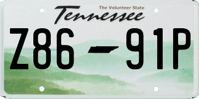 TN license plate Z8691P