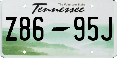 TN license plate Z8695J