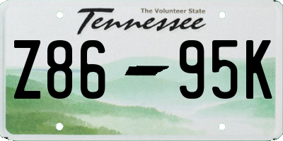 TN license plate Z8695K