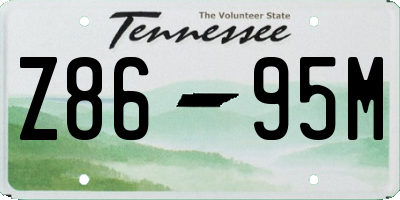 TN license plate Z8695M