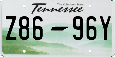 TN license plate Z8696Y