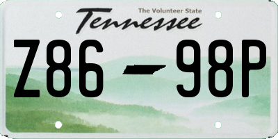 TN license plate Z8698P