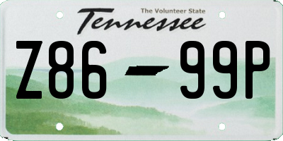 TN license plate Z8699P