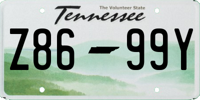 TN license plate Z8699Y