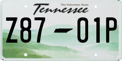 TN license plate Z8701P
