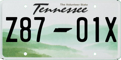 TN license plate Z8701X