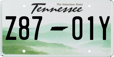 TN license plate Z8701Y