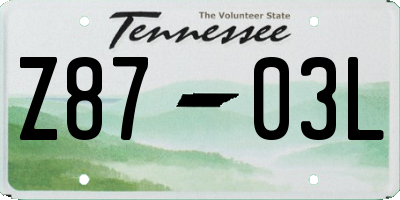 TN license plate Z8703L