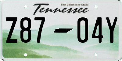 TN license plate Z8704Y