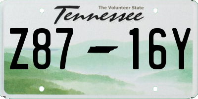 TN license plate Z8716Y