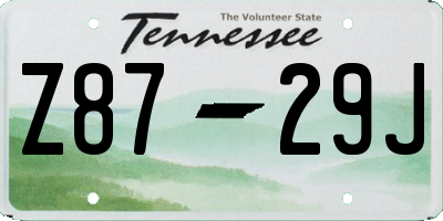 TN license plate Z8729J