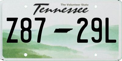TN license plate Z8729L