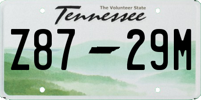 TN license plate Z8729M