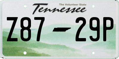 TN license plate Z8729P
