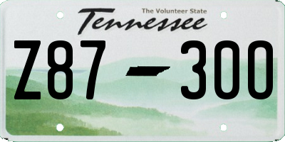 TN license plate Z8730O