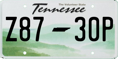 TN license plate Z8730P