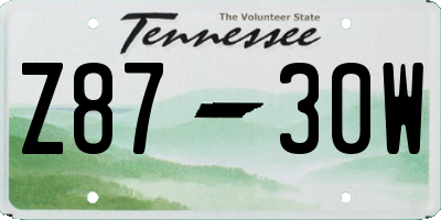 TN license plate Z8730W