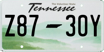 TN license plate Z8730Y