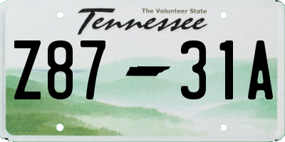 TN license plate Z8731A