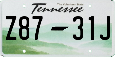 TN license plate Z8731J